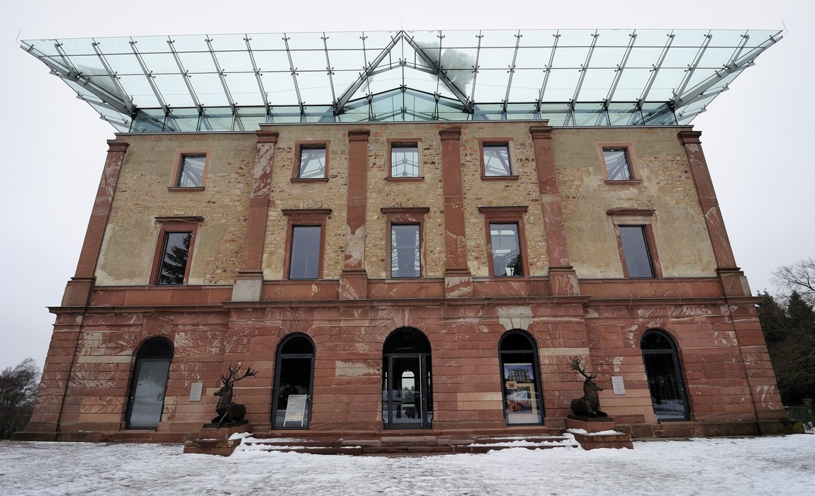 13. Dezember: Weihnachtsbäume im Stadtwald selbst schlagen