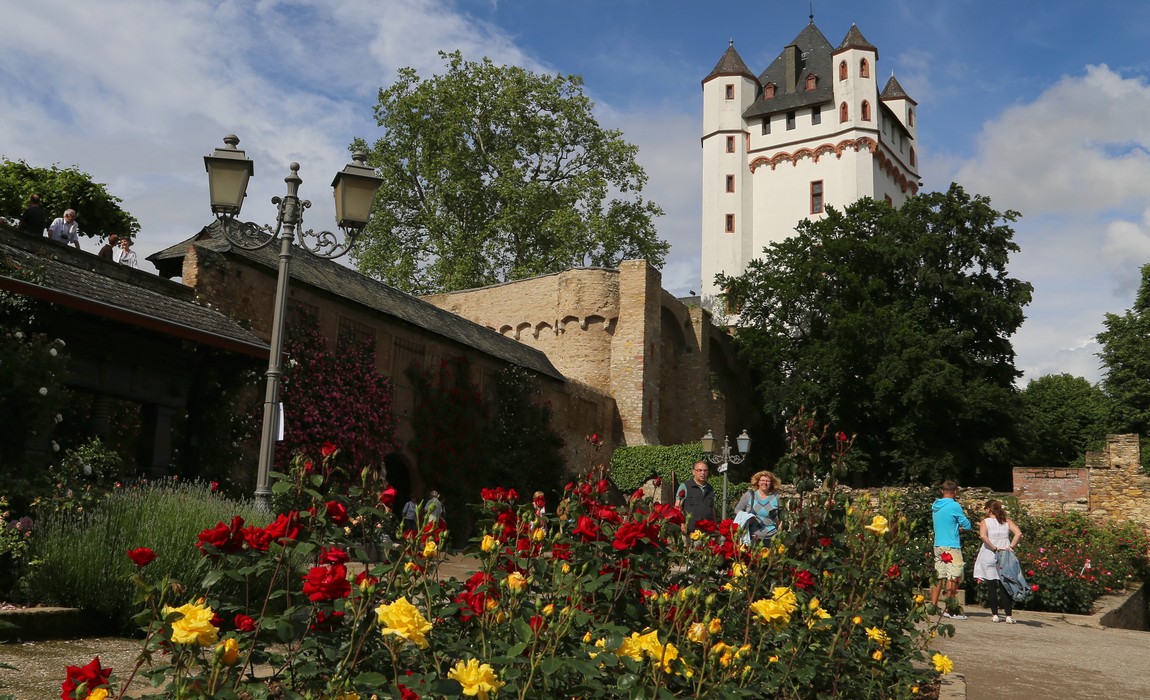 Eltville Leuchtet 2023: Rückblick auf das Lichterfest und Highlights