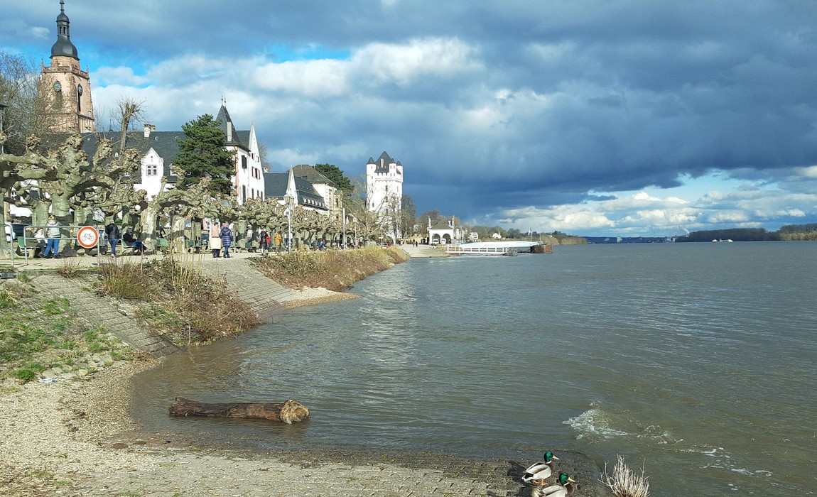 Eltviller Rheinufer: Historisches Geländer erneuert und an heutige Sicherheitsstandards angepasst