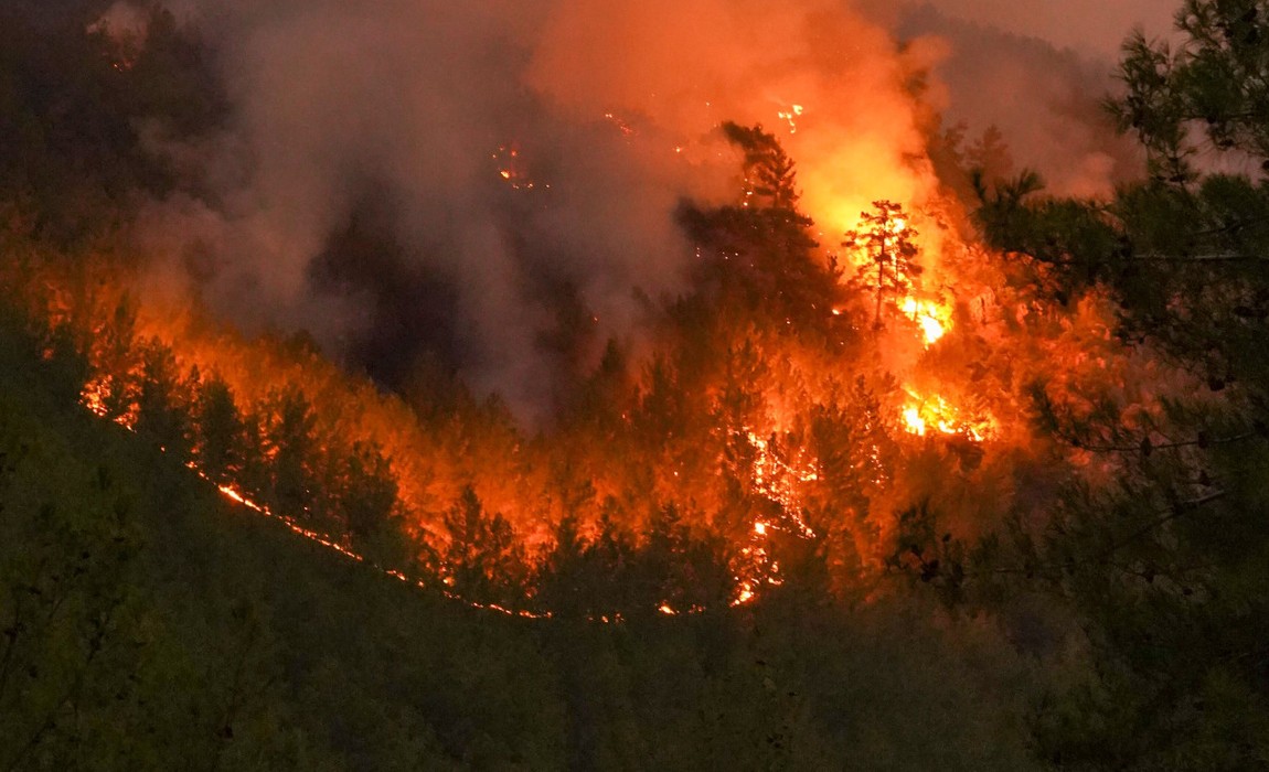 Waldbrandgefahr auf Höchststufe in Wiesbaden. Taunusstein untersagt offenes Feuer