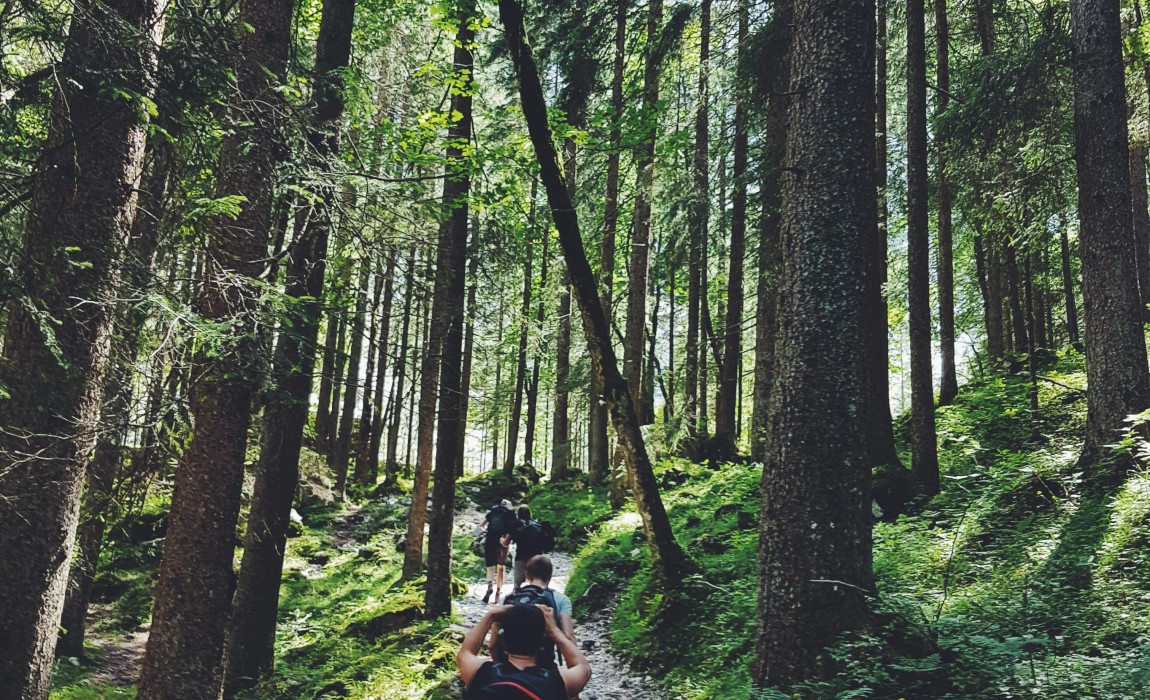 Wanderung nach Rambach: Wiesbadener Wandertage am 9. November Wanderung nach Rambach: Wiesbadener Wandertage am 9. November