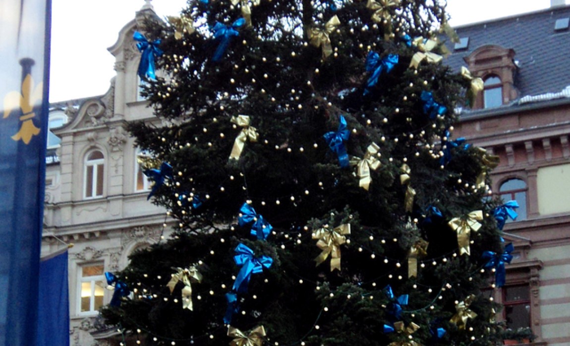 Weihnachtsbaum am Wiesbadener Rathaus wird am 12. November aufgestellt Weihnachtsbaum am Wiesbadener Rathaus wird am 12. November aufgestellt