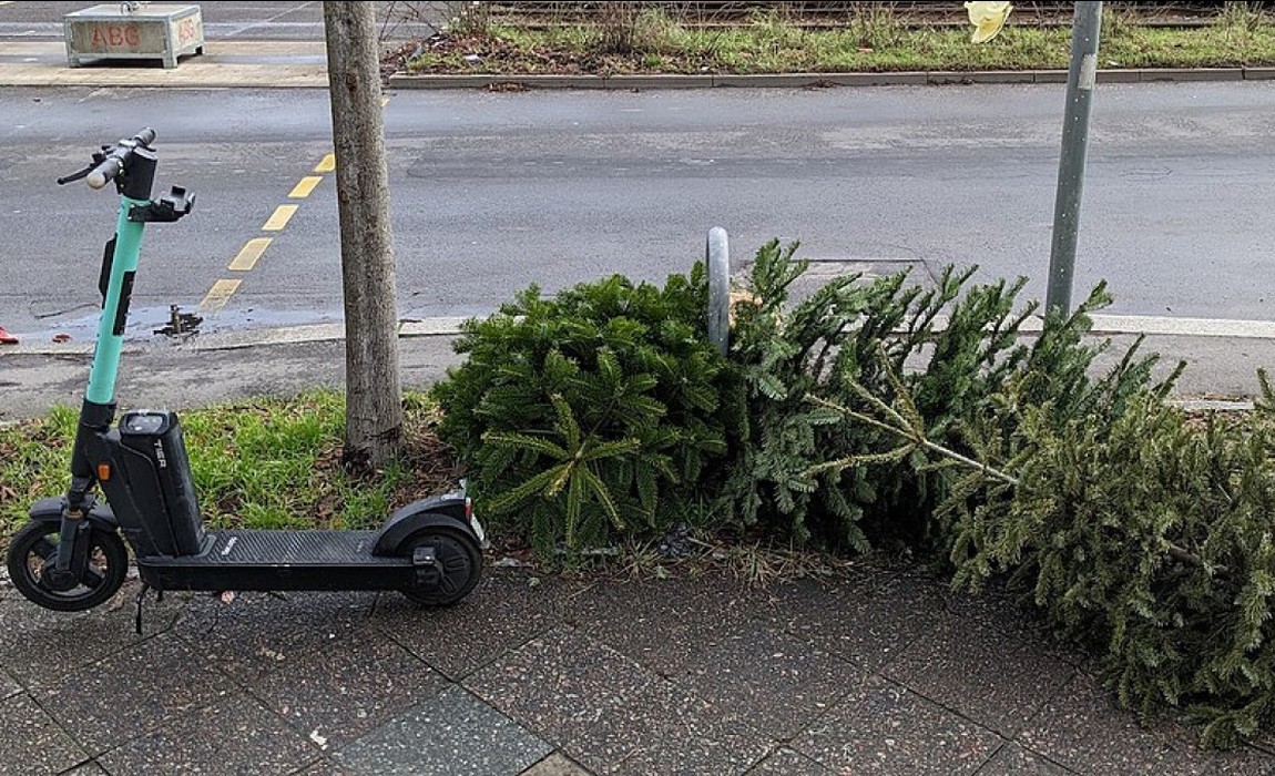 Wiesbaden sammelt Weihnachtsbäume Mitte Januar ein